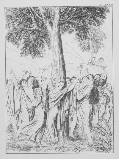 Boska komedia Dantego, Purgatorio (Czyściec), plansza XXXIII (litografia) autorstwa Bernhard Schuler