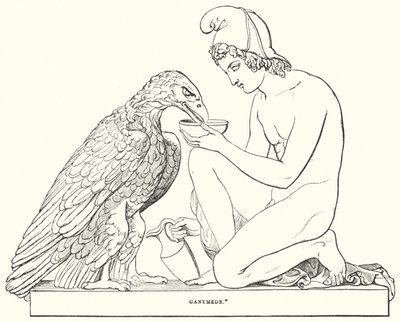 Ganimedes autorstwa Bertel after Thorvaldsen