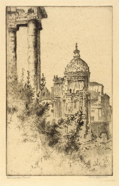 Kolumny, Forum Romanum autorstwa Bertha E. Jaques
