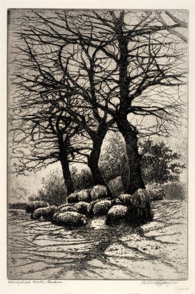 Hampstead Heath, Londyn autorstwa Bertha E. Jaques