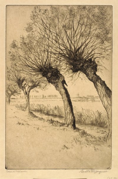 Pollard Willows, Rijsord, Holandia autorstwa Bertha E. Jaques