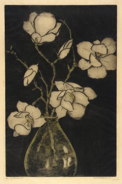 Wiosenne kwiaty (magnolia drzewiasta) autorstwa Bertha E. Jaques