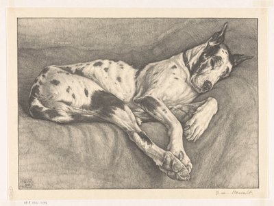 śpiący Pies autorstwa Bertha van Hasselt (signed by artist)