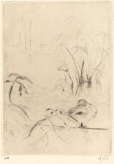 Kaczki w spoczynku na brzegu autorstwa Berthe Morisot