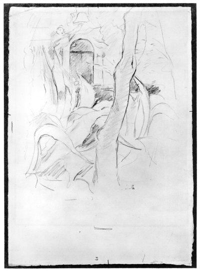 Aloes w Villa Ratti, 1889 (grafit na papierze) autorstwa Berthe Morisot