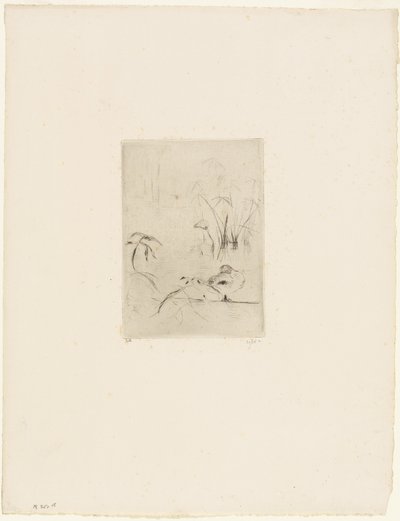 Kaczka autorstwa Berthe Morisot