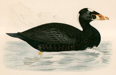 Pewnie skuter autorstwa Beverley R. Morris