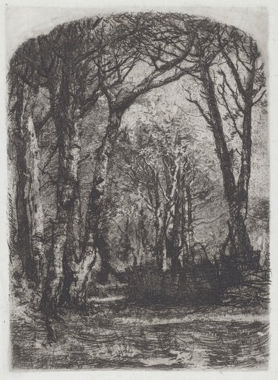 Lasy [Bosco], ok.1895. autorstwa Bianchi Mose