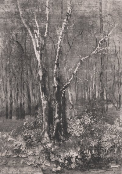 Lasy w parku niedaleko Monzy, 1895. autorstwa Bianchi Mose