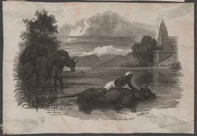 Rolnicy niosący martwe bydło, ok. 1850 r. (rycina) autorstwa Blasius Höfel