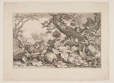 Plate 13, z Landscapes with Farmhouses (Krajobrazy z zagrodami) autorstwa Boetius Adams Bolswert