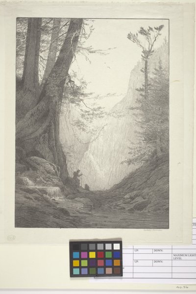 Wielkie Cedry (atrament na papierze, litografia) autorstwa Bolton Coit Brown