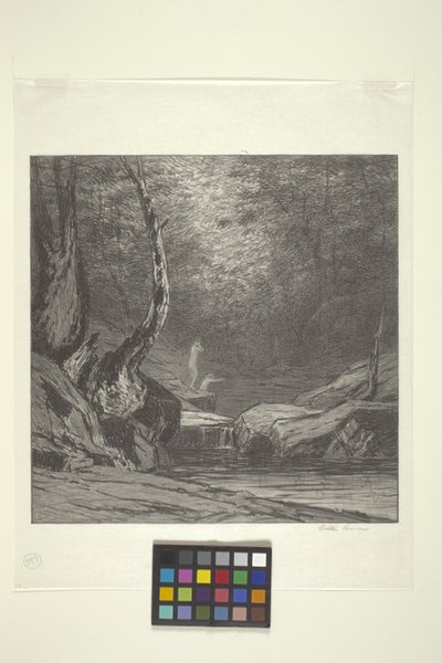 Krzywe drzewo (tusz na papierze) autorstwa Bolton Coit Brown
