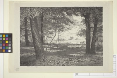 Skraj lasu (tusz na papierze) autorstwa Bolton Coit Brown