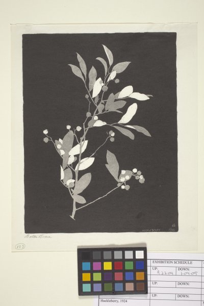 Huckleberry (tusz na papierze) autorstwa Bolton Coit Brown