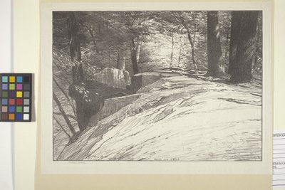 Skały i drzewa (tusz na papierze) autorstwa Bolton Coit Brown