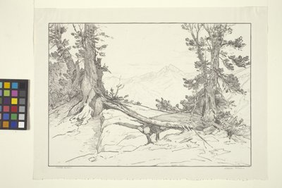 Sierra Pines (тушь на бумаге)лак autorstwa Bolton Coit Brown