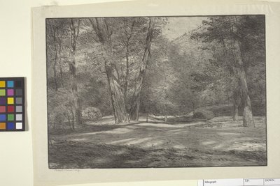 Sierra Woods (atrament na papierze) autorstwa Bolton Coit Brown