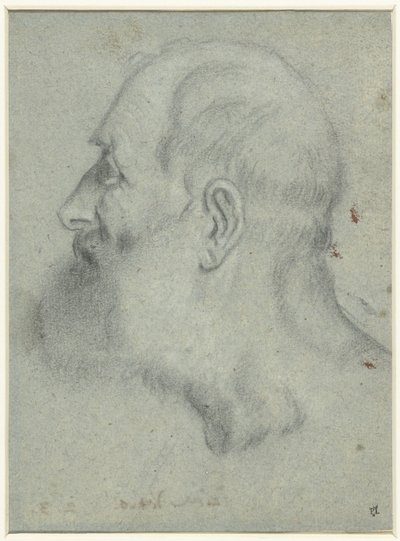 Głowa brodatego mężczyzny, z profilu po lewej stronie autorstwa Bonifazio Veronese (attributed to)