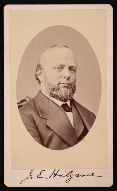 Portret Juliusza Erazma Hilgarda 1825-1891, 1875. autorstwa Brady