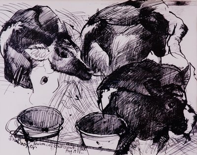 Cielęta, wilgotne, noworodek, 1978 autorstwa Brenda Brin Booker