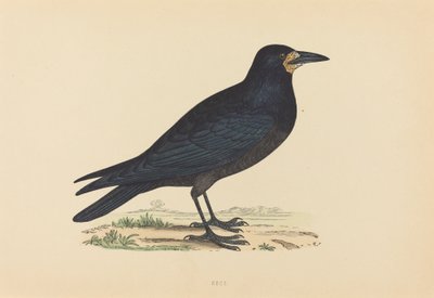 Wieża autorstwa British 19th Century