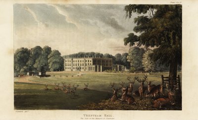Stado jeleni przed Trentham Hall autorstwa British School