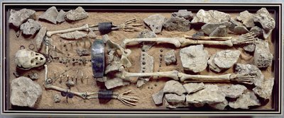 Bogato obdarowany grób kobiecy z Molzbach bei Huenfeld autorstwa Bronze Age