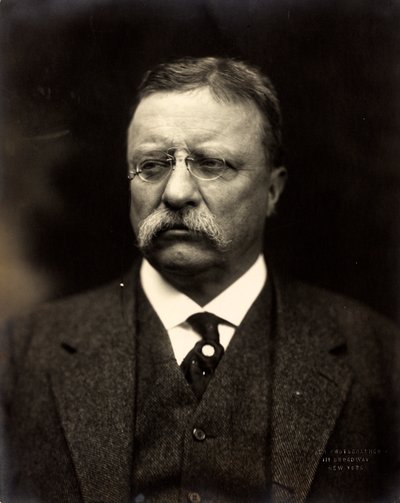 Theodore Roosevelt, ok. 1915 (zdjęcie czarno-białe) autorstwa Brothers Pach