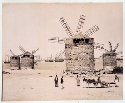 Moulins a Alexandria - fotografia braci Zangali, koniec XIX wieku autorstwa Brothers Zangaki