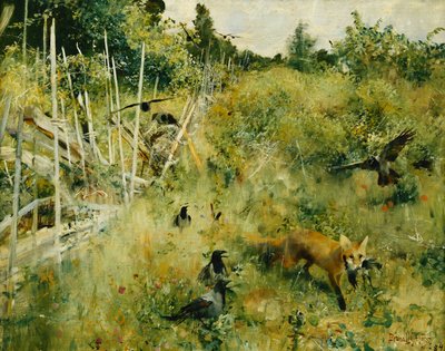 Lis biorący wronę; Rav Och Krakor autorstwa Bruno Andreas Liljefors