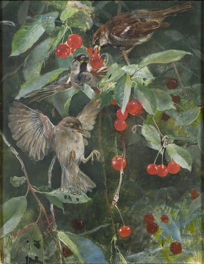 Wróble na wiśniowym drzewie, 1885 autorstwa Bruno Andreas Liljefors