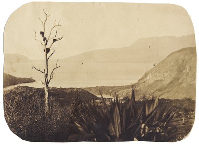 Jezioro i góra Tarawera z Te Wairoa, 1860 (druk albumowy) autorstwa Bruno Hamel