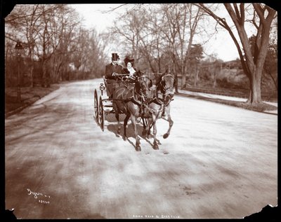 Anna Held i Florenz Ziegfeld prowadzący dorożkę, Nowy Jork, 1904 (srebrny odbitka żelatynowa) autorstwa Byron Company