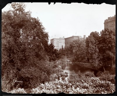 Central Park z widokiem na hotele Savoy i Plaza, 5th Avenue i 59th Street, Nowy Jork, ok.1896-98 (srebrny odbitka żelatynowa) autorstwa Byron Company