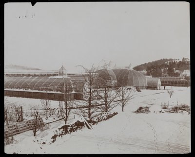 Szklarnie w śniegu w posiadłości Helen Gould (rezydencja zmarłego Jaya Goulda) w Tarrytown, Nowy Jork, 1894 (srebrny odbitka żelatynowa) autorstwa Byron Company
