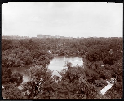 Widok na Central Park z hotelu Plaza, 5th Avenue i 59th Street, Nowy Jork, 1907 (odbitka żelatynowa) autorstwa Byron Company