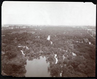 Widok na Central Park z hotelu Plaza, 5th Avenue i 59th Street, Nowy Jork, ok.1907 (srebrny odbitka żelatynowa) autorstwa Byron Company