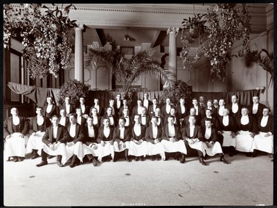 Kelnerzy w Hotelu Delmonico, 1902 (srebrny odbitka żelatynowa) autorstwa Byron Company