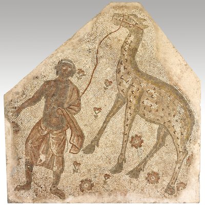 Fragment mozaiki z mężczyzną prowadzącym żyrafę, 401-500 r. n.e. (kamień w zaprawie) autorstwa Byzantine