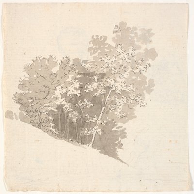 Grupa drzew autorstwa C.A. Lorentzen