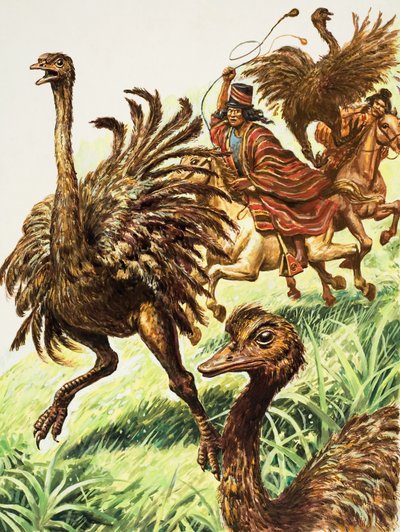 Rheas (gwasz na papierze) autorstwa C.L. Doughty