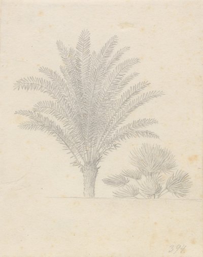 Grupa palm i liści autorstwa Christoffer Wilhelm Eckersberg