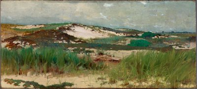 Wydma piaskowa Nantucket autorstwa C. Morgan McIlhenney