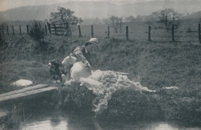 Strzyżenie owiec, 1910 autorstwa C. Reid