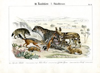  autorstwa C. Roth