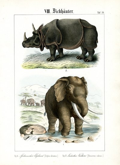  autorstwa C. Roth