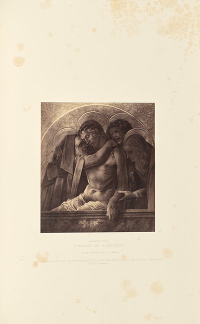 "Pieta" autorstwa C. Crivelliego autorstwa Caldesi and Montecchi