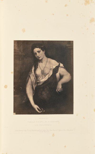 Postać kobieca, autor: P. Bordone autorstwa Caldesi and Montecchi