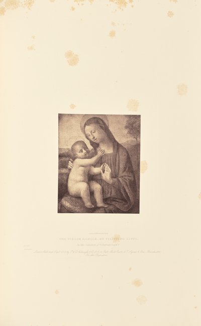 Dziewica z Dzieciątkiem, autor: Filippino Lippi autorstwa Caldesi and Montecchi